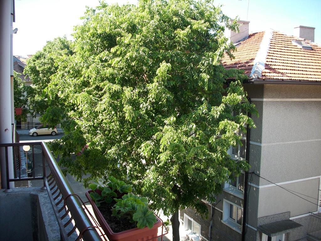 Georgievi Guest House Ahyolu Dış mekan fotoğraf